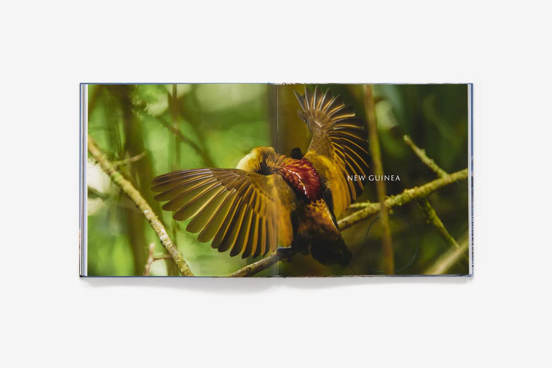 Lepton Bird 1-6巻セット Bird Planet: A Photographic Journey For Sale | Paxton Gate