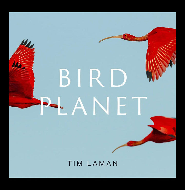 Bird Planet: A Photographic Journey For Sale | Paxton Gate