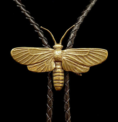 Brass Hawk Moth Bolo Tie-Accessories-Big Bad Beetle Bolos-PaxtonGate