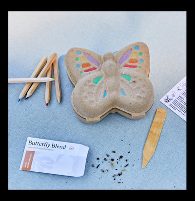 Butterfly Activity Kit-PlntMisc-Modern Sprout-PaxtonGate