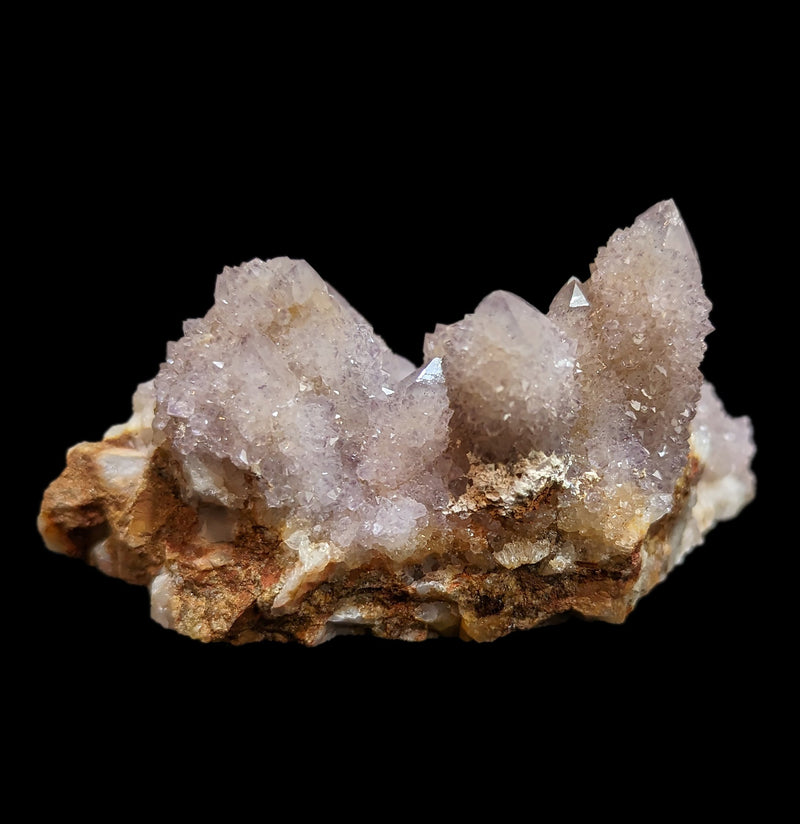 Cactus Quartz Cluster Specimen - Paxton Gate