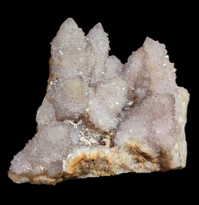 Cactus Quartz Cluster Specimen - Paxton Gate