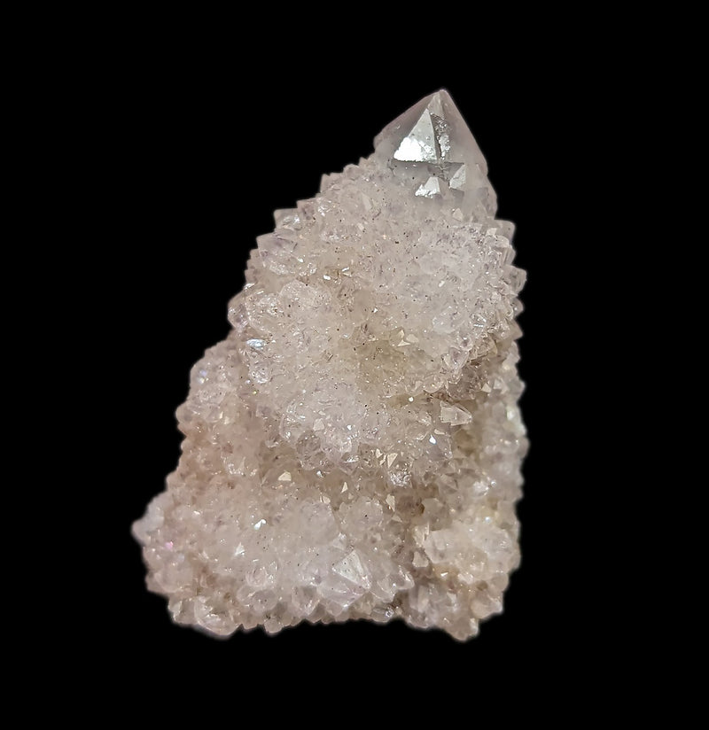 Cactus Quartz Crystal Cluster - Paxton Gate