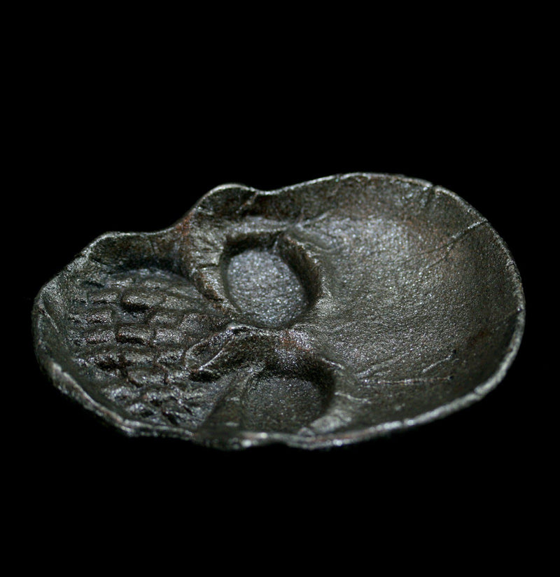Cast Iron Skull Dish - Paxton Gate