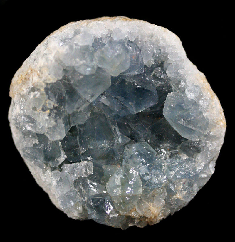 Celestite Crystal Cluster - Paxton Gate