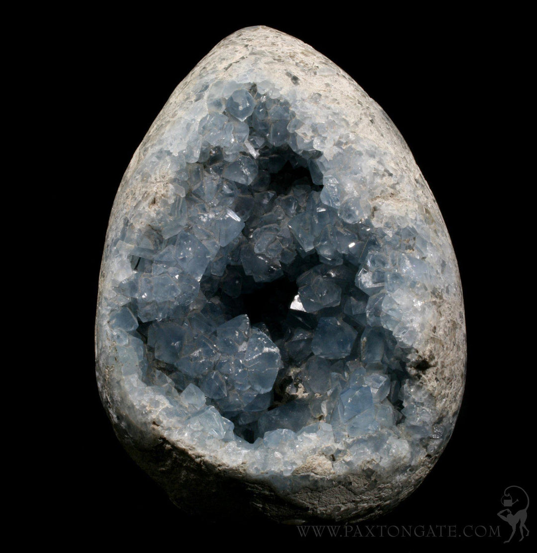 Celestite Crystal Geode For Sale Paxton Gate