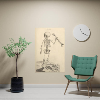 Child Skeleton Matte Poster - Paxton Gate