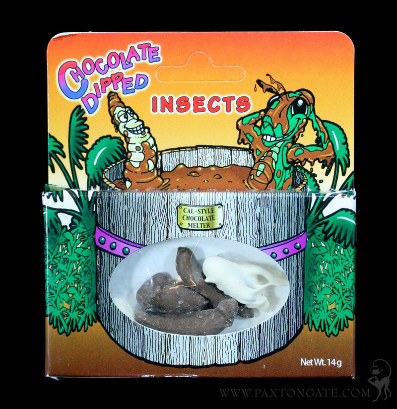 Chocolate Covered Insects - Paxton Gate