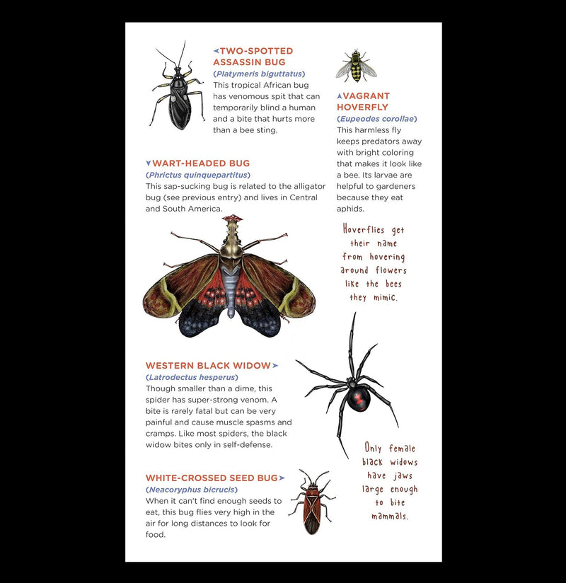 Creepy, Crawly Tattoo Bugs: 60 Temporary Tattoos That Teach-Books-Hachette Book Group-PaxtonGate