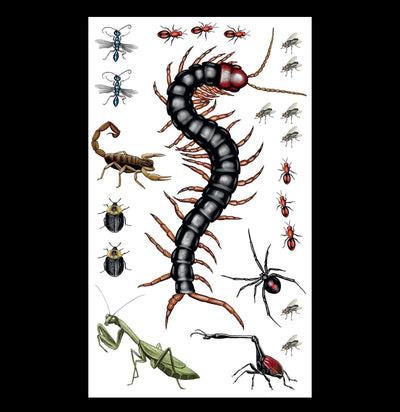 Creepy, Crawly Tattoo Bugs: 60 Temporary Tattoos That Teach-Books-Hachette Book Group-PaxtonGate