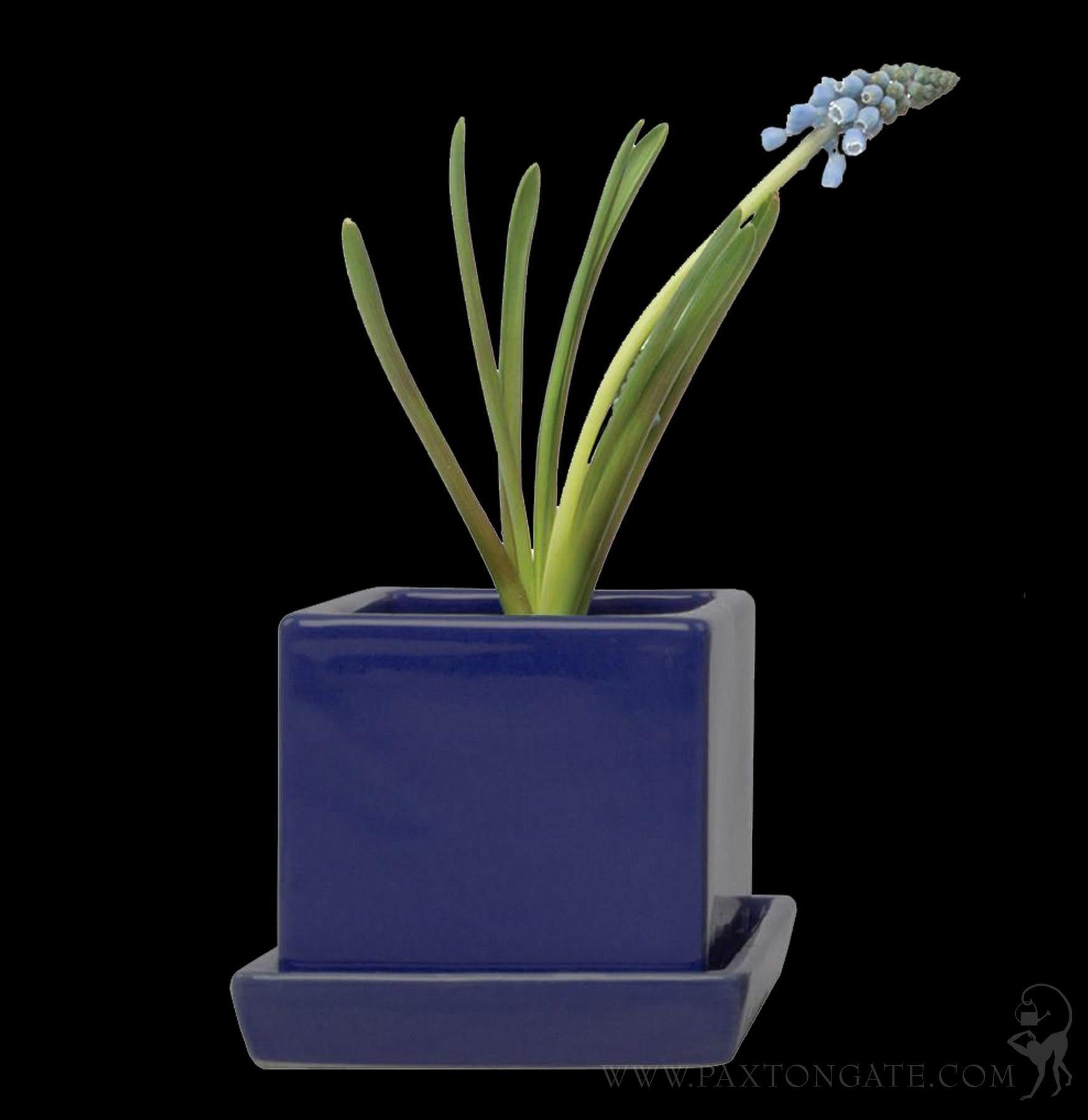 saucer planter pot Cube & Saucer Planter