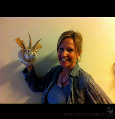 DIY Taxidermy Jackalope Class - Paxton Gate