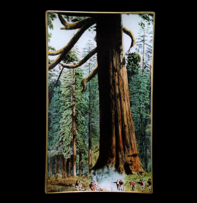 Glass Mariposa Grove Tray - Paxton Gate