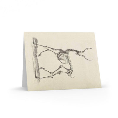 Deer Skeleton Greeting Card Pack - Paxton Gate