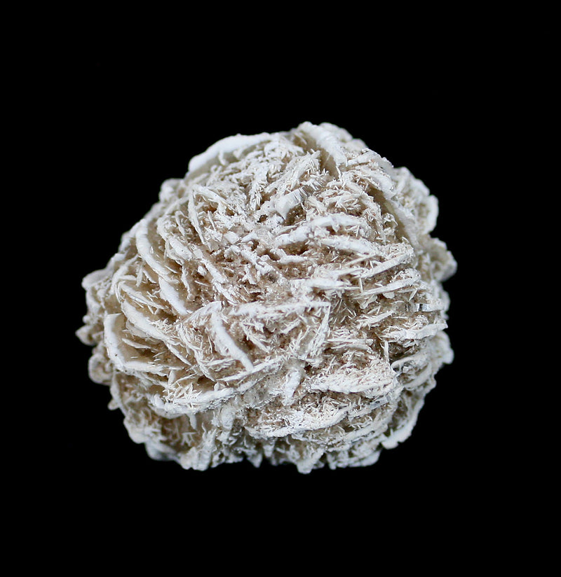 Desert Rose Gypsum Spheres - Paxton Gate