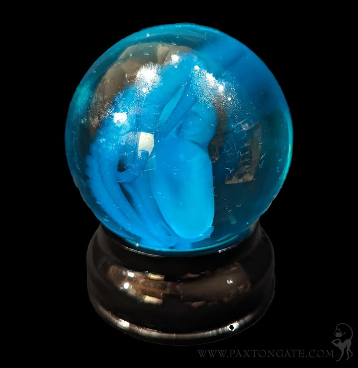 Diaphonized Blue Octopus Globe Wet Specimen For Sale | Paxton Gate