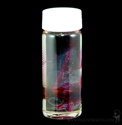 Diaphonized Lucky Dip Tropical Fish Wet Specimen - Paxton Gate