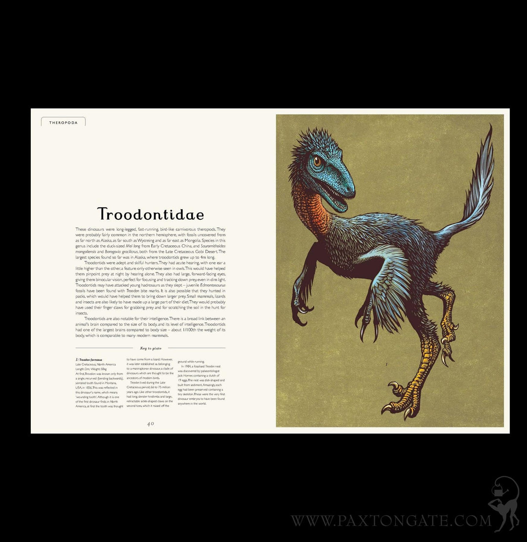 Dinosaurium: Welcome to the Museum For Sale | Paxton Gate