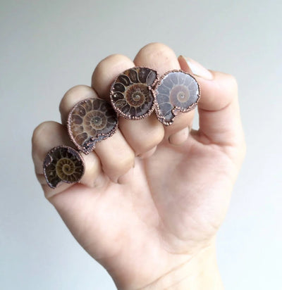 Electroformed Ammonite Ring - Paxton Gate