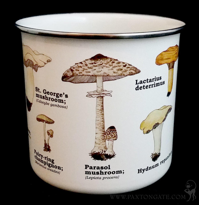 Enamel Mushroom Mug - Paxton Gate