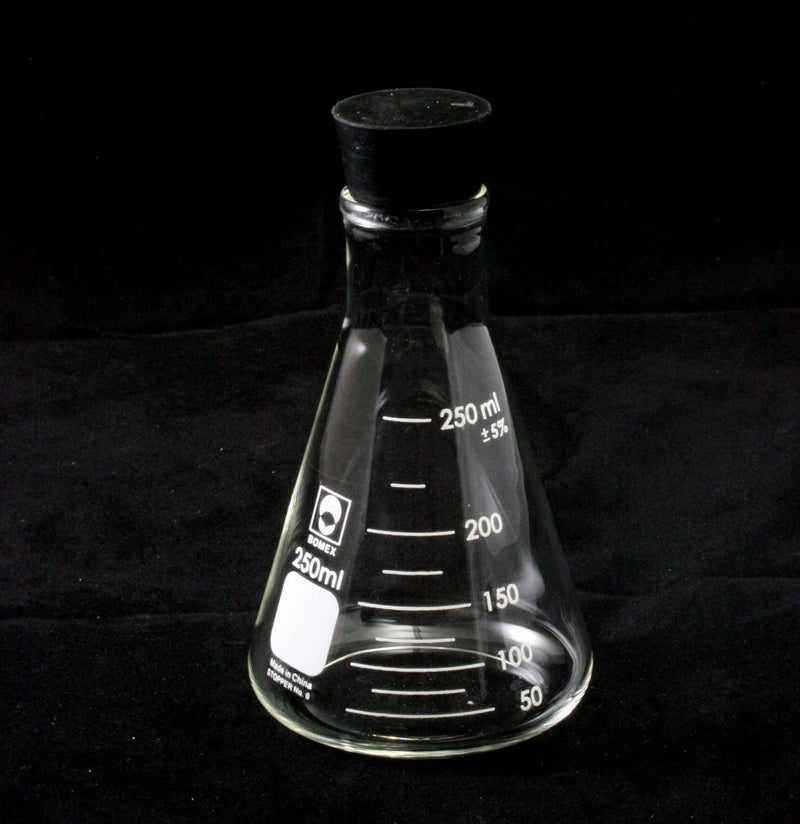 Erlenmeyer Flasks - Paxton Gate