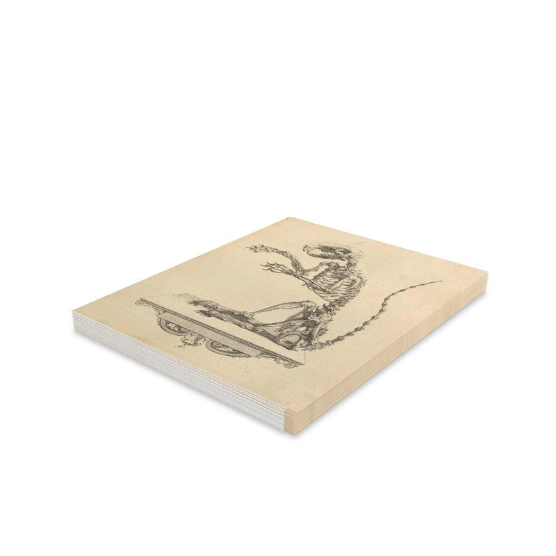 Fancy Rat Skeleton Greeting Card Pack - Paxton Gate