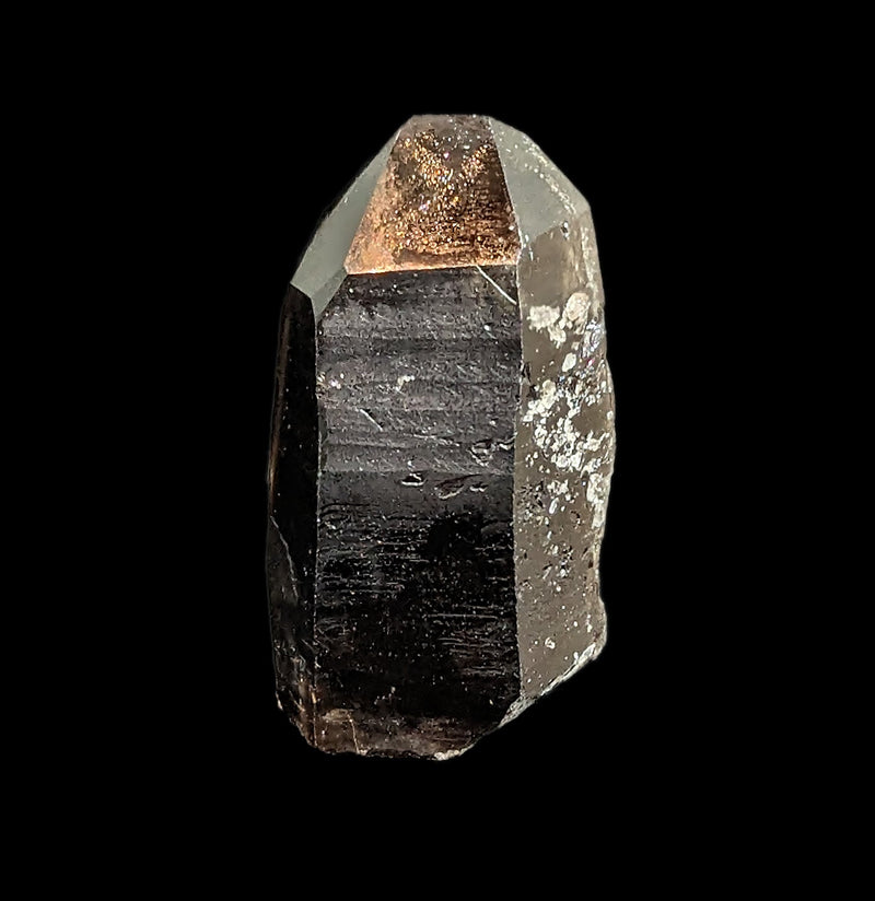 Fine Smokey Quartz Crystal Point - Paxton Gate