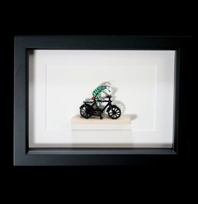 Framed Weevil on Bicycle-Insects-Bug Under Glass-PaxtonGate