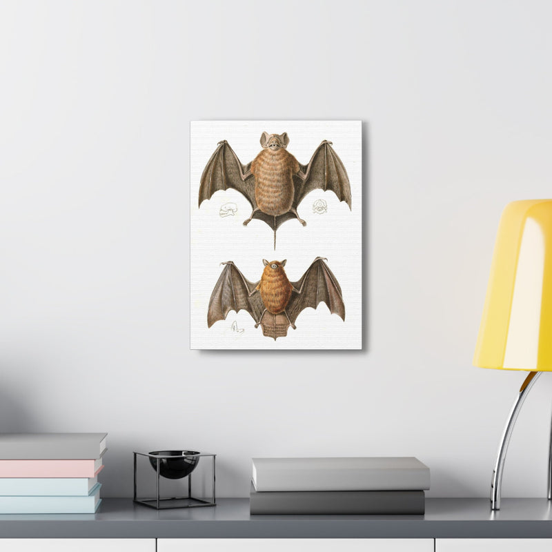 Free Tailed Bats Illustration Canvas Gallery Wraps-Canvas-Printify-PaxtonGate