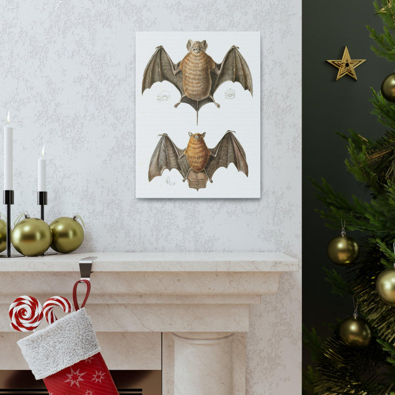 Free Tailed Bats Illustration Canvas Gallery Wraps-Canvas-Printify-PaxtonGate