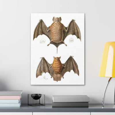 Free Tailed Bats Illustration Canvas Gallery Wraps-Canvas-Printify-PaxtonGate