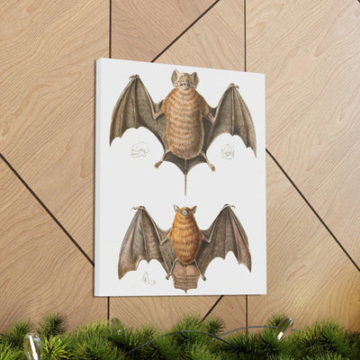 Free Tailed Bats Illustration Canvas Gallery Wraps-Canvas-Printify-PaxtonGate