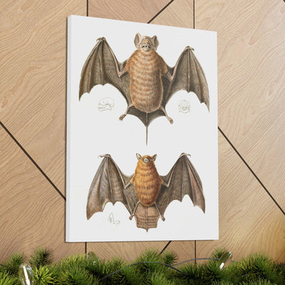 Free Tailed Bats Illustration Canvas Gallery Wraps-Canvas-Printify-PaxtonGate