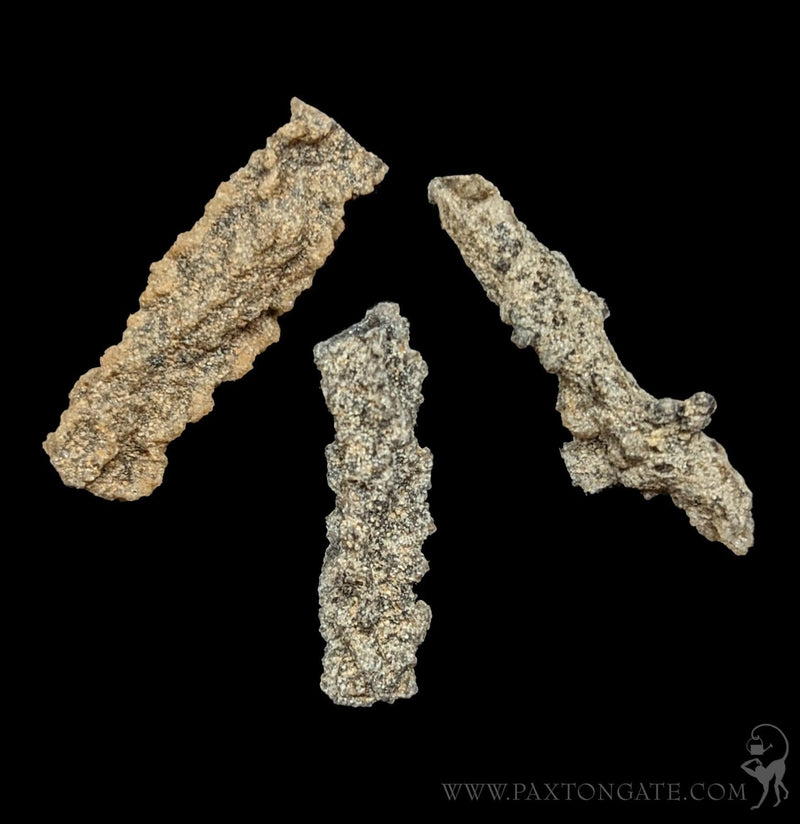 Fulgurite Fulgurite Lightning Fused Glass With Info Card – Paxton Gate
