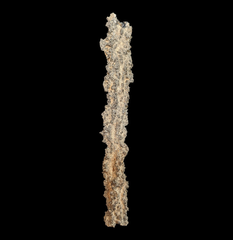 Fulgurite Specimen A-Minerals-Sahara Overland-PaxtonGate