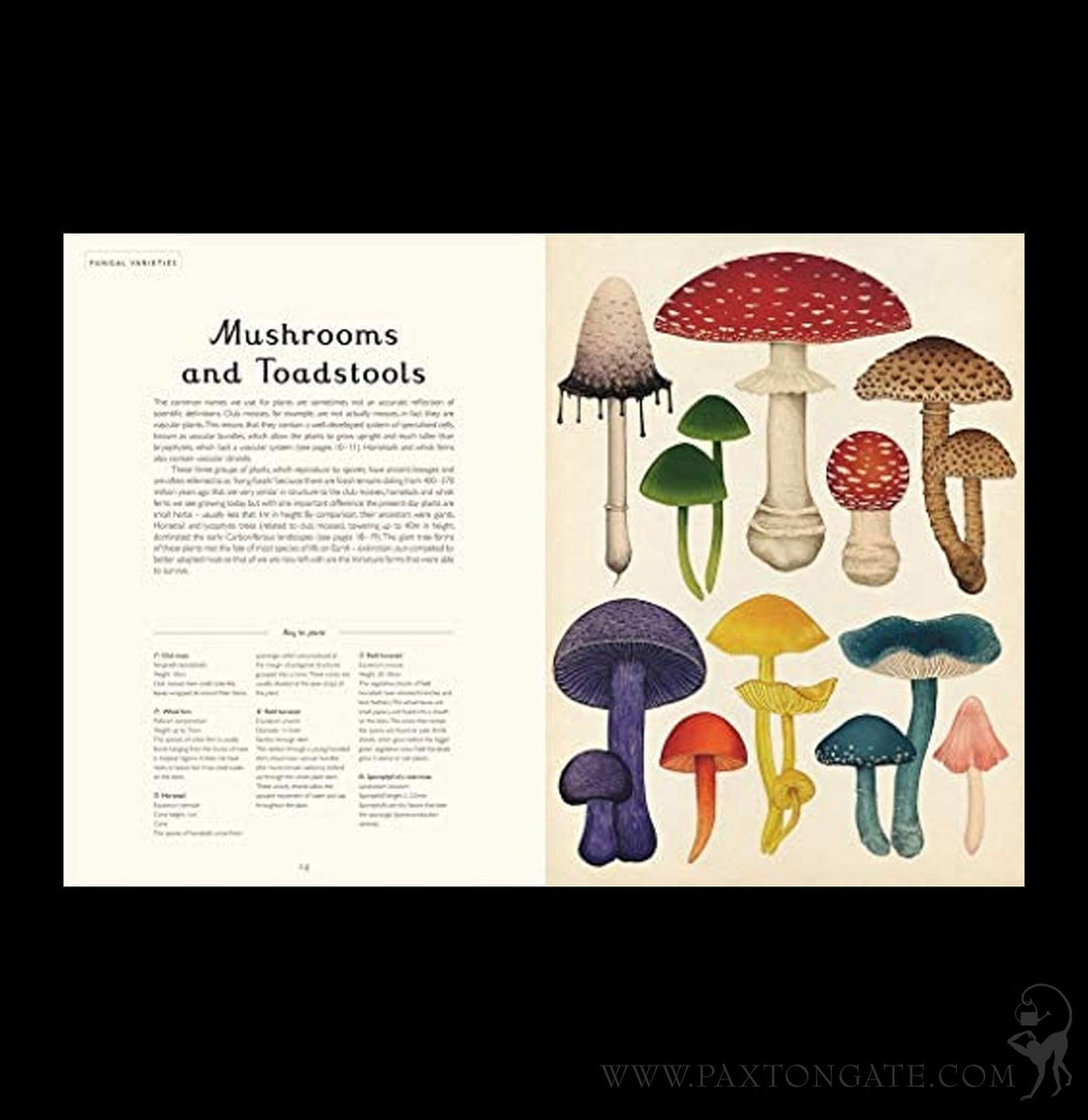 Botanicum & Fungarium 3冊セット Fungarium-Welcome-to-the-