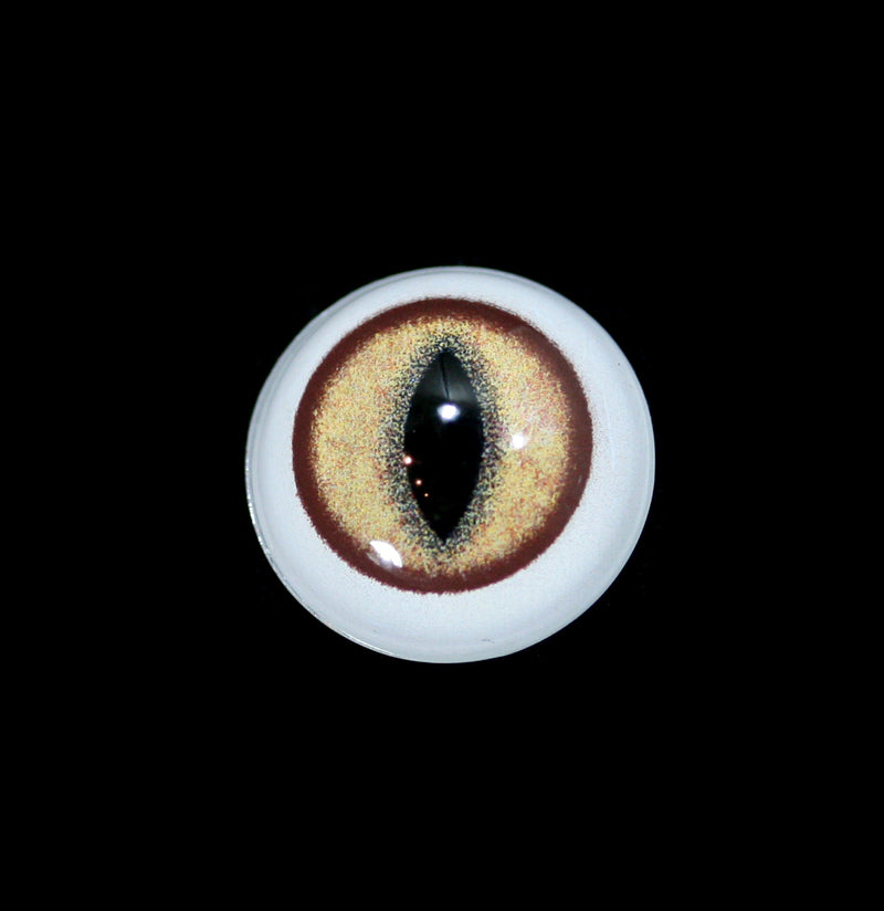 Glass Bobcat Taxidermy Eye-Taxidermy-McKenzie Taxidermy Supply-PaxtonGate