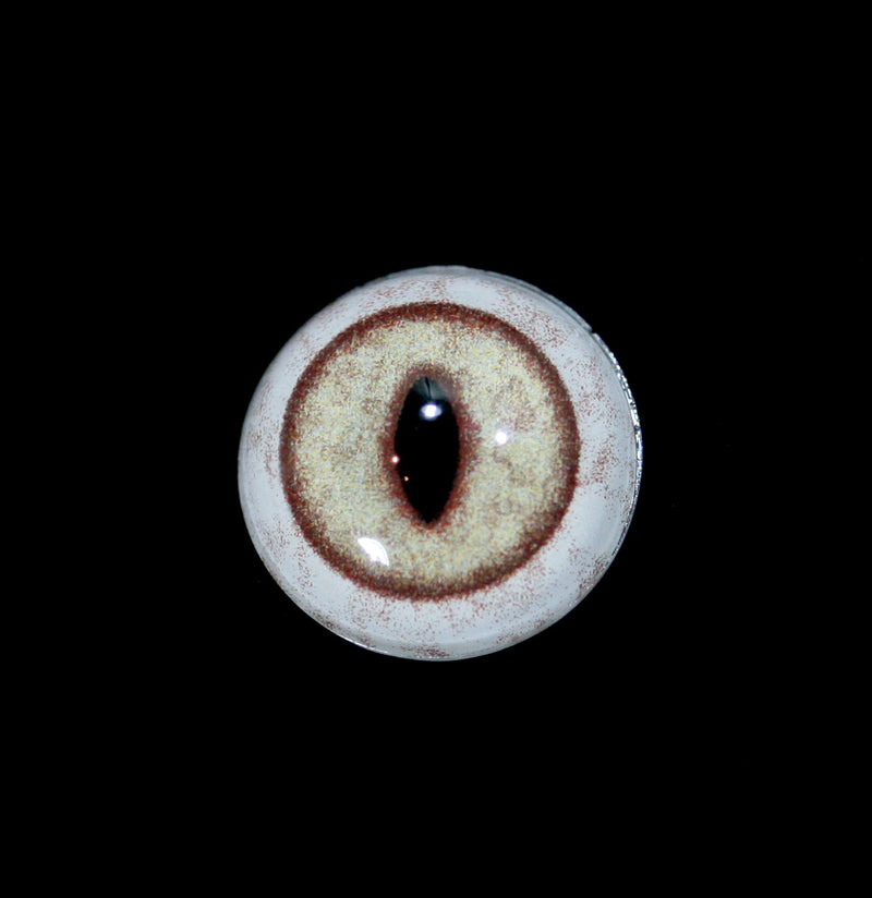Glass Lynx Taxidermy Eye-Taxidermy-McKenzie Taxidermy Supply-PaxtonGate