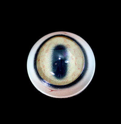 Glass Sheep Taxidermy Eye-Taxidermy-McKenzie Taxidermy Supply-PaxtonGate