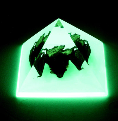 Glow in the Dark Bat Pyramid - Paxton Gate