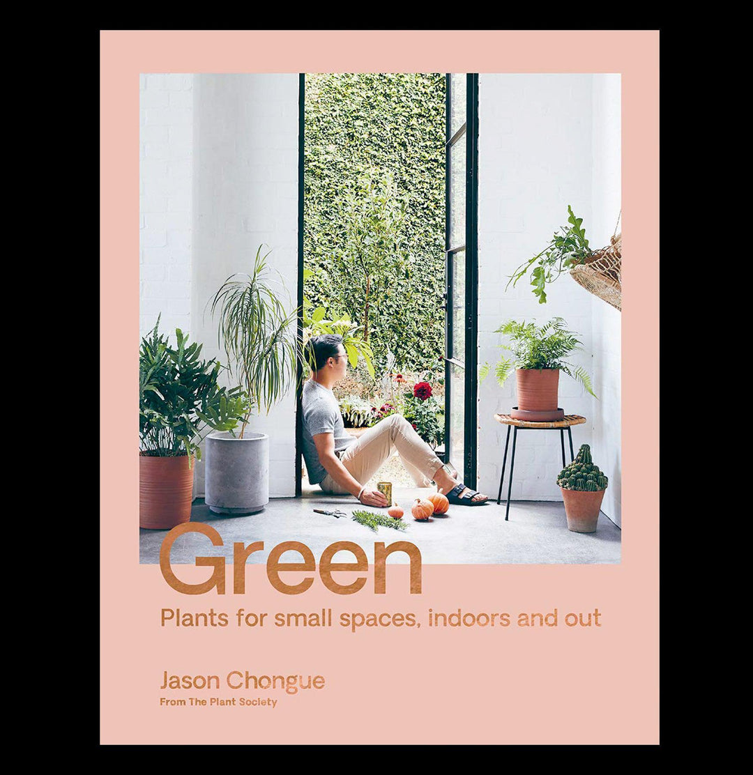 green plants for small spaces indoors and out Green: Plants For Small Spaces, Indoors and Out For Sale