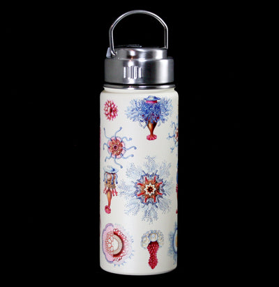 Haeckel Jellyfish Stainless Steel Vacuum Flask - Paxton Gate