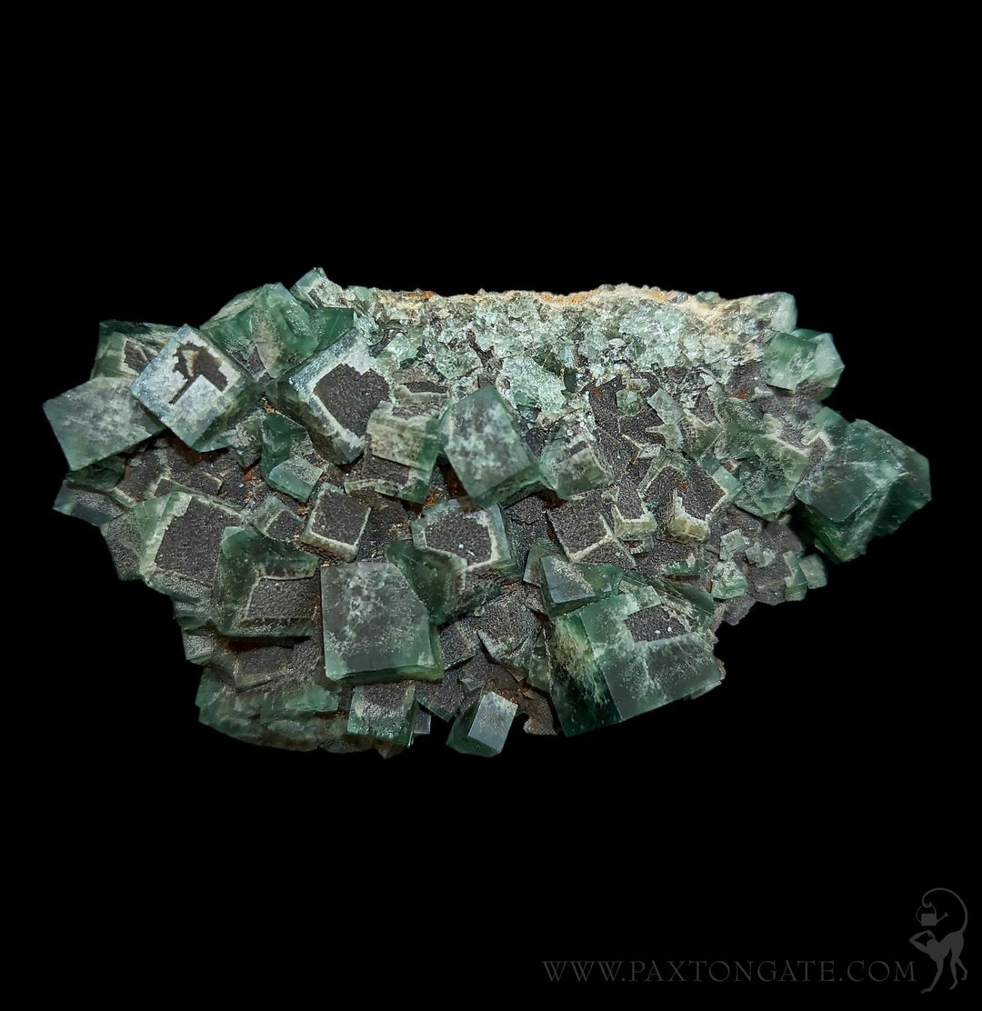 Heavy Metal Pocket Fluorite Crystal Clusters For Sale | Paxton Gate