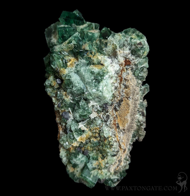 Heavy Metal Pocket Fluorite Crystal Clusters For Sale | Paxton Gate