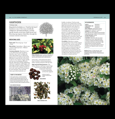 Herbal Remedies Handbook - Paxton Gate