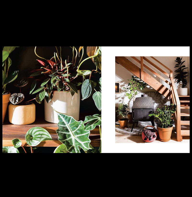 house planted House Planted: Choosing, Growing, and Styling the Perfect Plants for Your Space