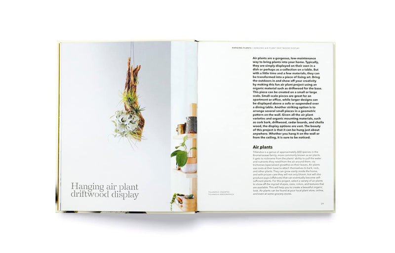 air plant book How To Plant a Room For Sale