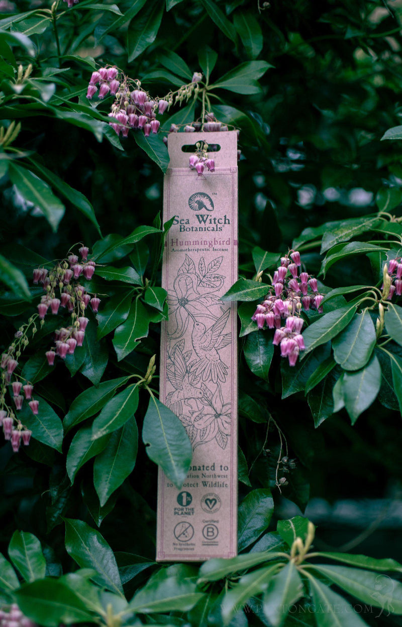 Hummingbird Incense Sticks - Paxton Gate