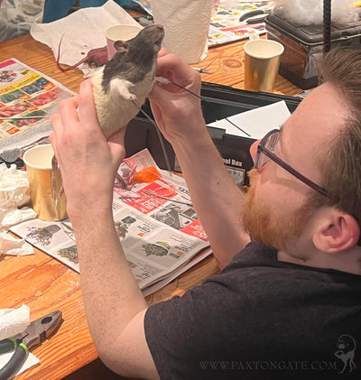 DIY Taxidermy Rat Workshop-Workshop-Geoffrey Vassallo-PaxtonGate