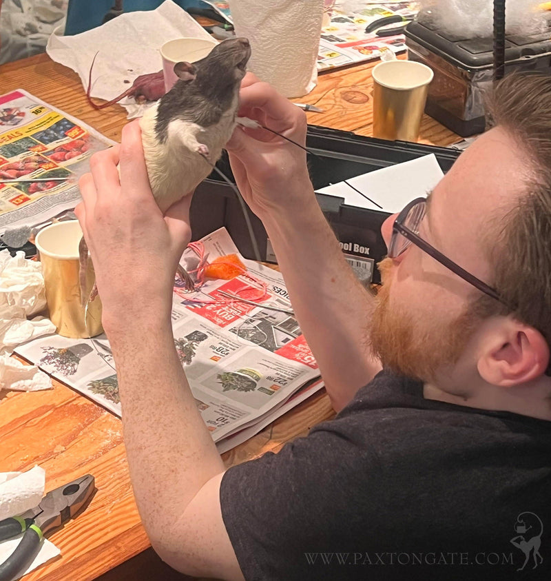 DIY Taxidermy Rat Workshop-Workshop-Geoffrey Vassallo-PaxtonGate